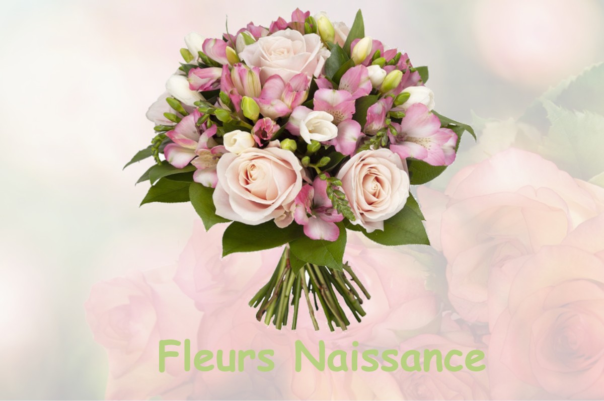 fleurs naissance LISLE-EN-RIGAULT