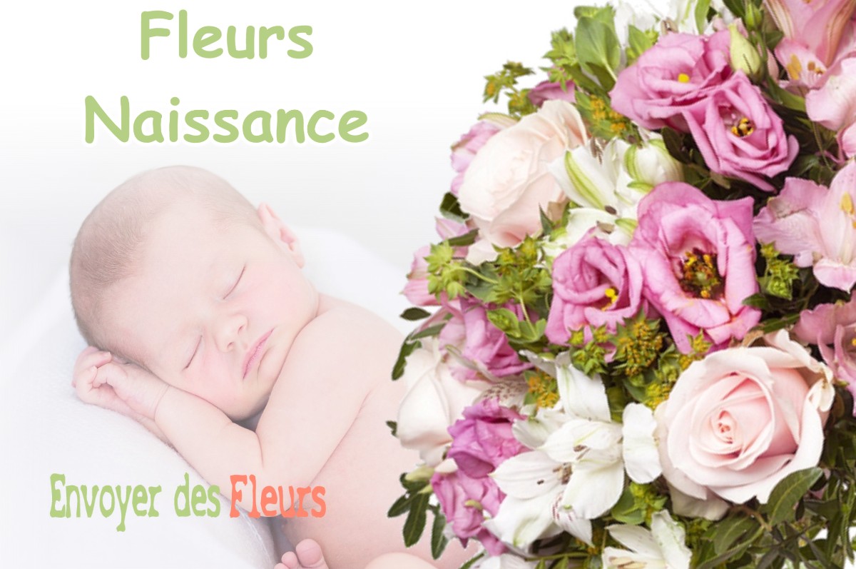 lIVRAISON FLEURS NAISSANCE à LISLE-EN-RIGAULT